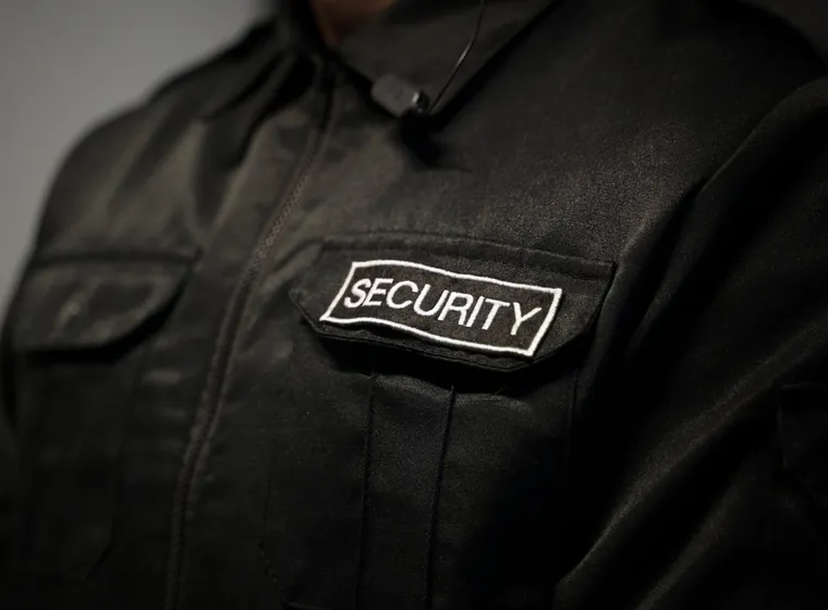 Best Eagle Security photo 3